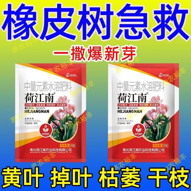 橡皮树专用肥料防黄叶增绿免稀释橡皮树通用营养液四季常青有机肥图片
