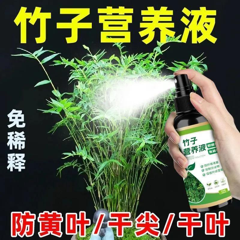 2026竹子营养液生根壮秆四季常绿防黄叶烂根枯萎干尖免稀释营养液