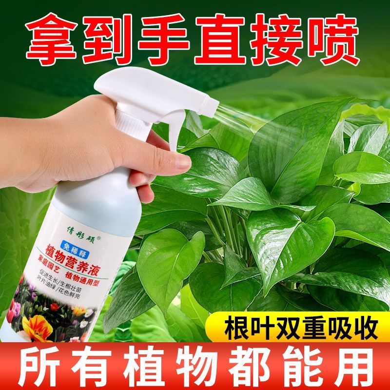 通用型免稀释植物营养液叶面肥叶绿素家庭绿植盆栽花肥料家庭园艺