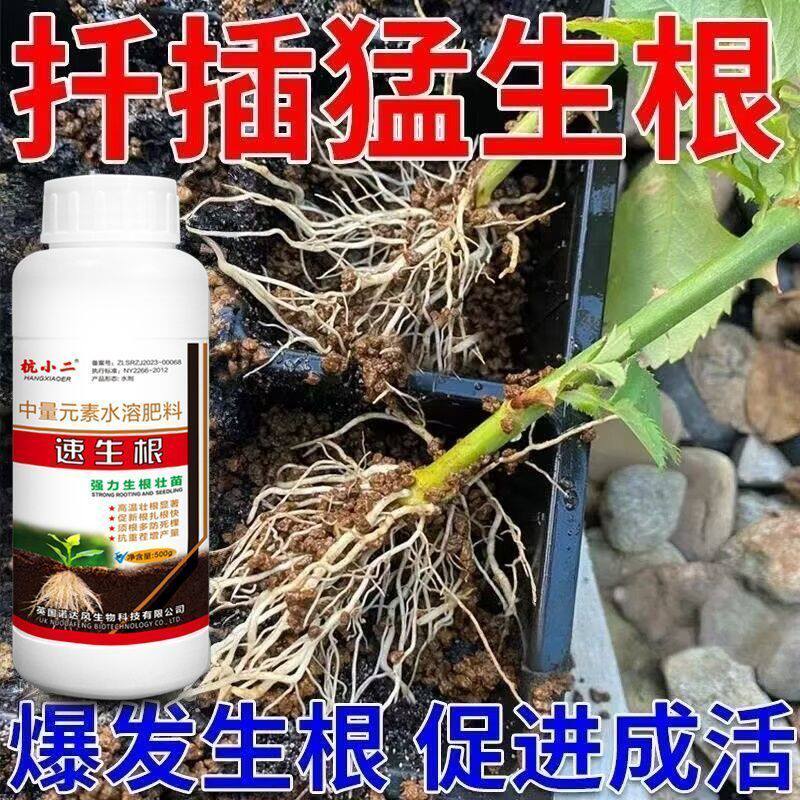 猛生根原液强力生根剂移栽扦插果树花卉大田促生根通用生根剂家庭