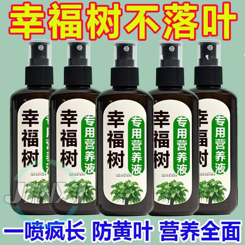 2026幸福树专用营养液室内盆栽发芽生根防黄叶落叶掉叶植物通用肥