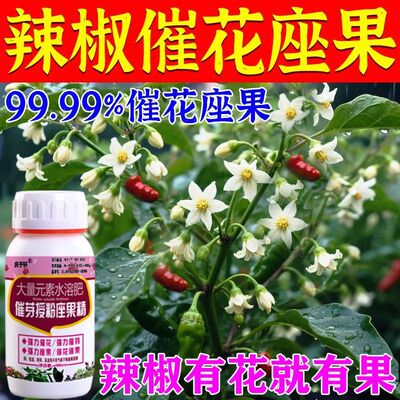 辣椒花芽分化素催花促花辣椒强效保花促果专用肥料抗病促长猛增产