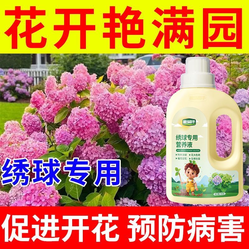 植场高手绣球浓缩营养液增色催花促花防黄叶烂根室内绿植盆栽花肥