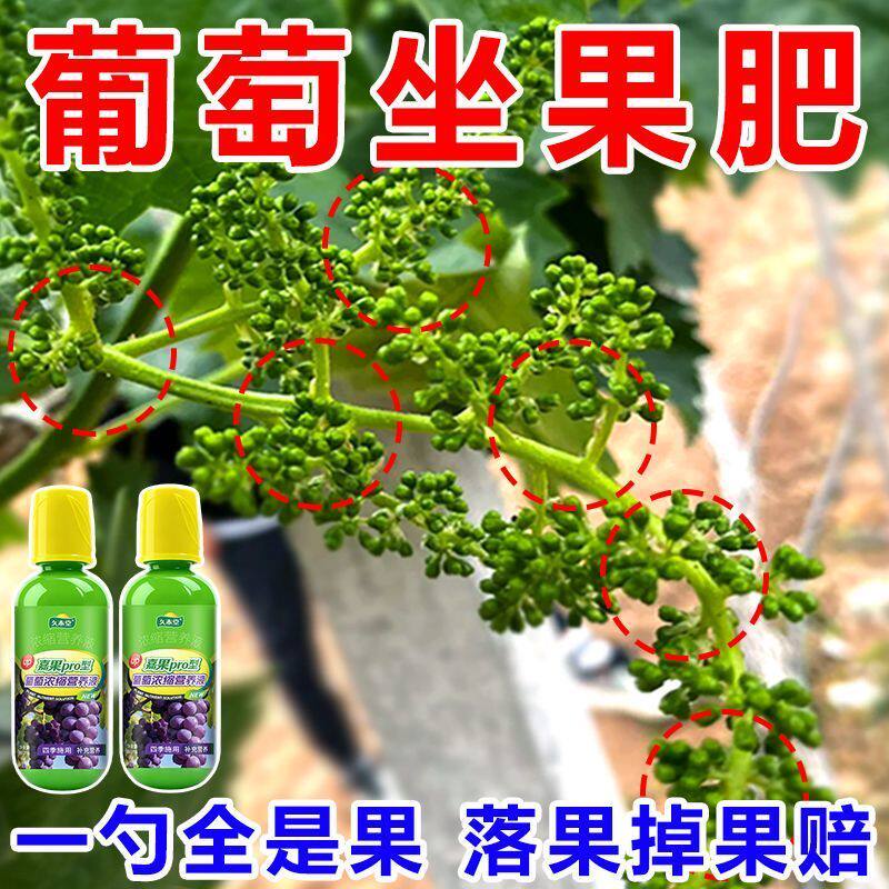 猛长结果】葡萄专用肥缓释肥肥料有机颗粒肥微量元素葡萄催芽促果