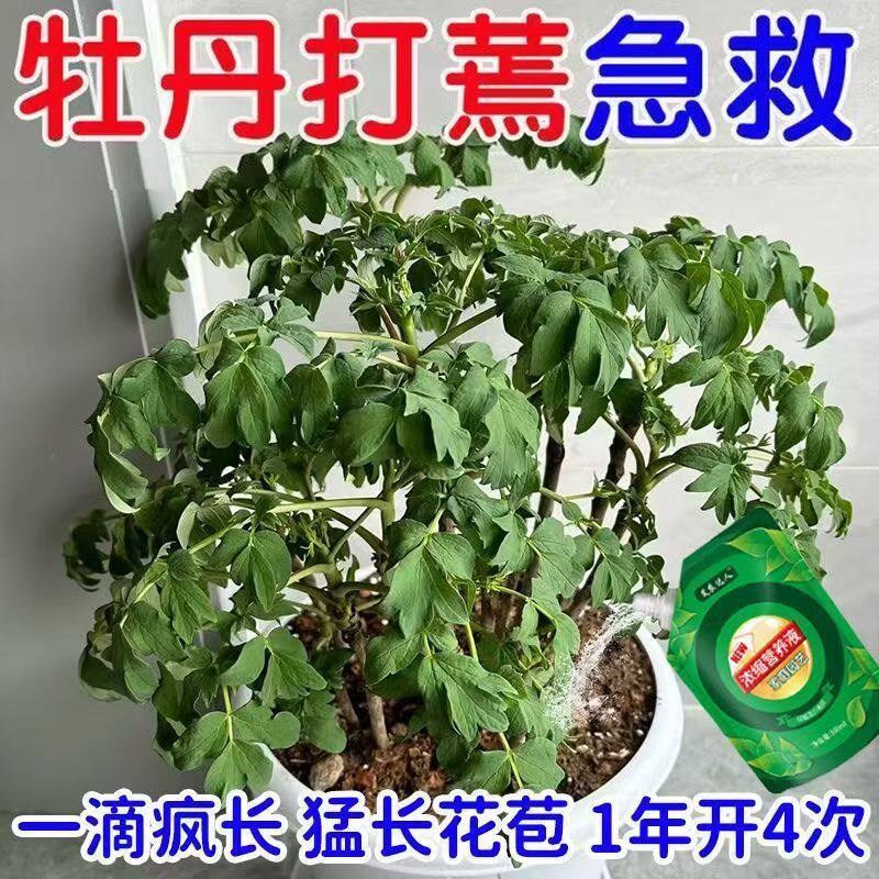 牡丹专用营养液治黄叶烂根绿植通用生根促花专用肥料植物肥料花卉