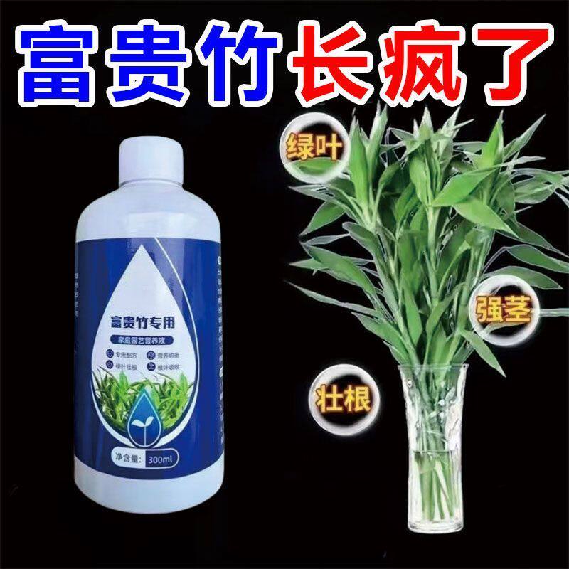 富贵竹营养液专用叶黄家用植物生根花肥水养土养肥料叶厚增绿2026