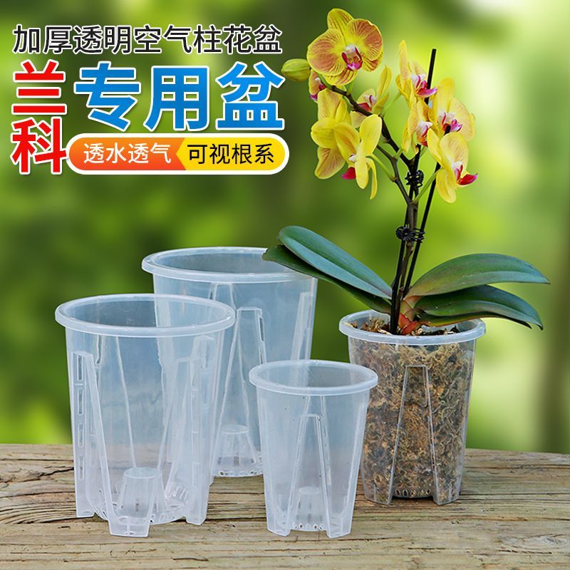 新款超透明青山控根盆兰花水苔蝴蝶兰专用花盆塑料透气镂空大号盆