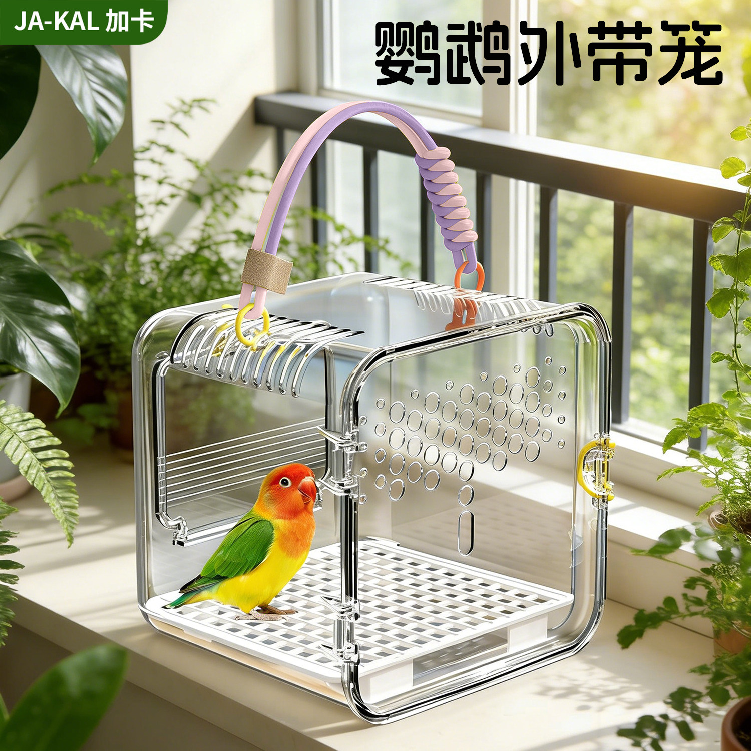 鹦鹉外带笼便捷户外透明鸟笼虎皮牡丹玄凤小太阳专用外出手提笼,宠物/宠物食品及用品,鸟笼,淘宝优惠券,粉丝福利购,淘宝优惠卷