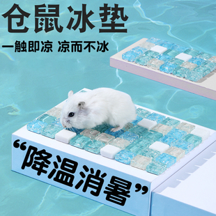仓鼠冰垫仓鼠夏天降温神器降温冰垫通风透气金丝熊降温板兔子冰垫