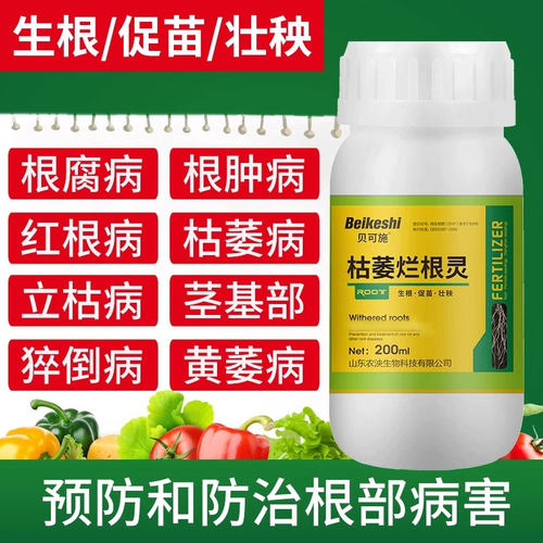 枯萎烂根灵营养液贝可施