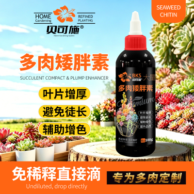 贝可施多肉矮胖素壮叶增厚辅助增色阳台花园多肉景天科番杏科植物