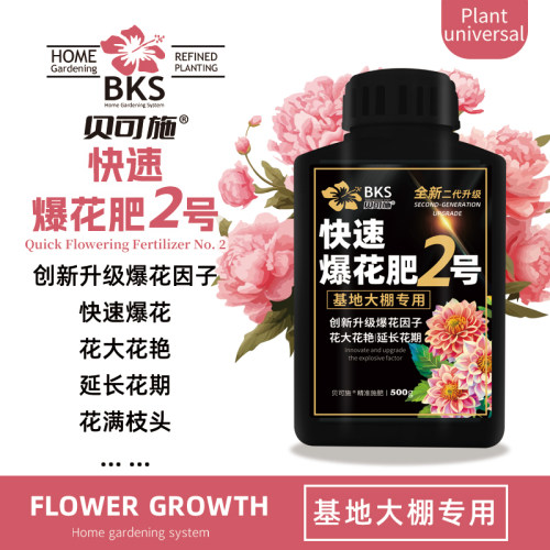 快速爆花肥2号黑金植物花卉盆栽