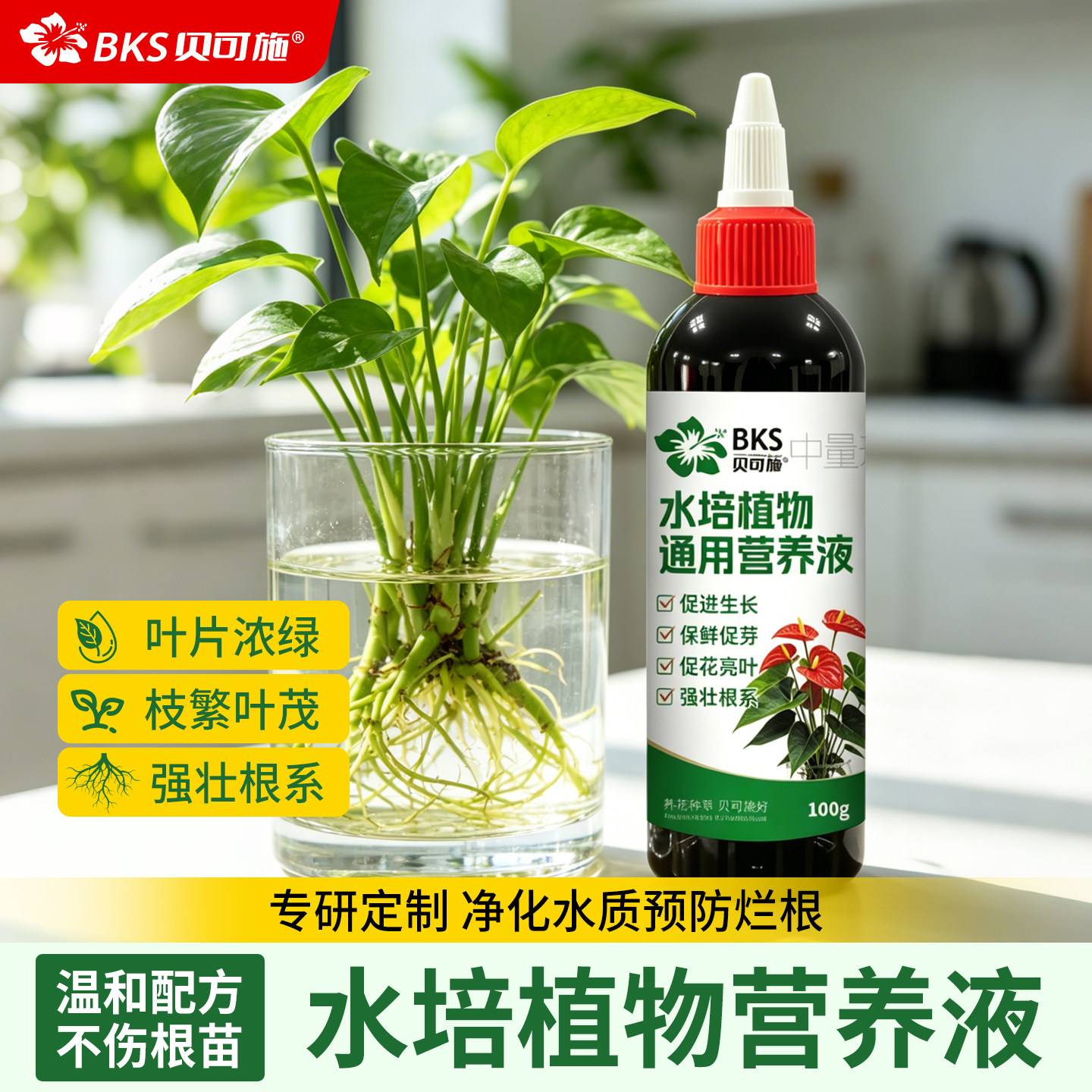 贝可施水培植物通用营养液绿萝富贵竹龟背竹水培盆栽花卉绿植肥料图片