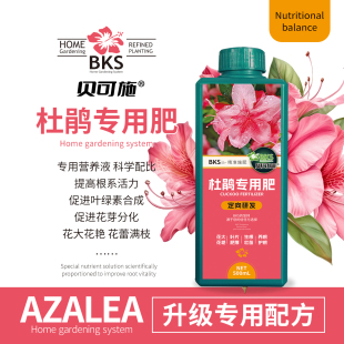 贝可施杜鹃花专用肥料营养液花卉花肥治黄叶斑病促花肥养花通用