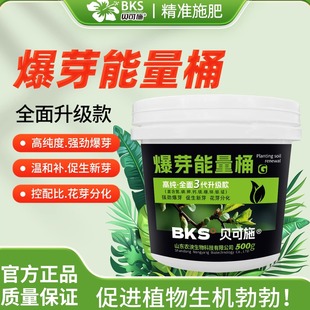 贝可施爆芽能量桶强力促芽素促分枝催侧芽盆栽花卉绿植通用营养液