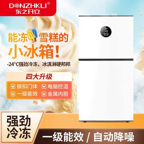 东之开立车载冰箱立式双门办公宿舍厨房租房节能小型冷藏冷冻