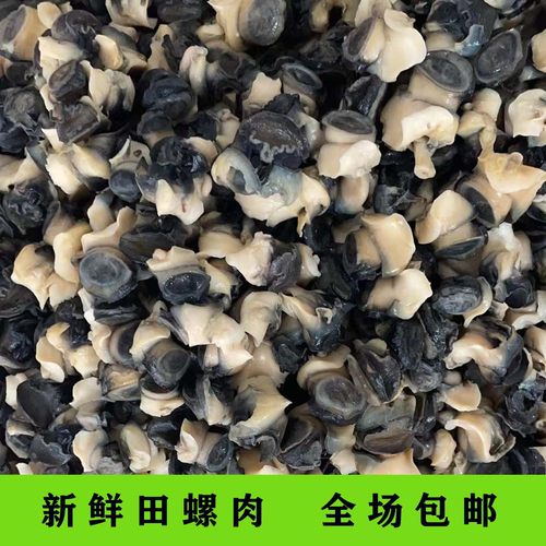 新鲜螺蛳肉田螺肉亏本促销