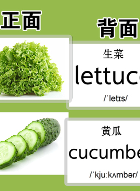 英语卡片防水启蒙闪卡蔬菜类23张 幼儿园儿童单词卡早教英文教具