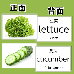 英语卡片防水启蒙闪卡蔬菜类23张 幼儿园儿童单词卡早教英文教具