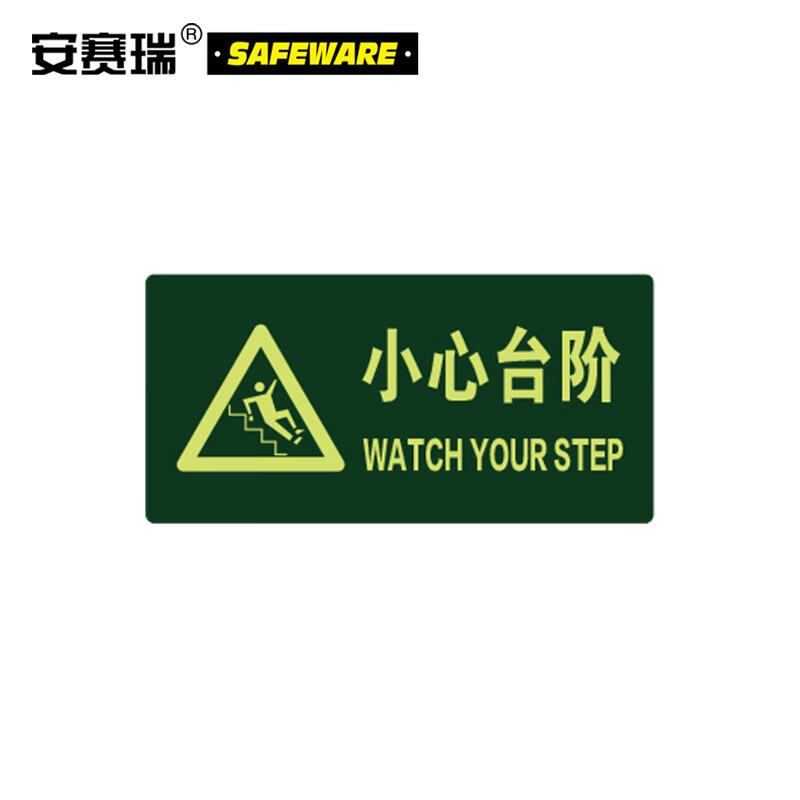 安赛瑞21614自发光地贴消防疏散标识贴荧光箭头指引标识(单位:包)
