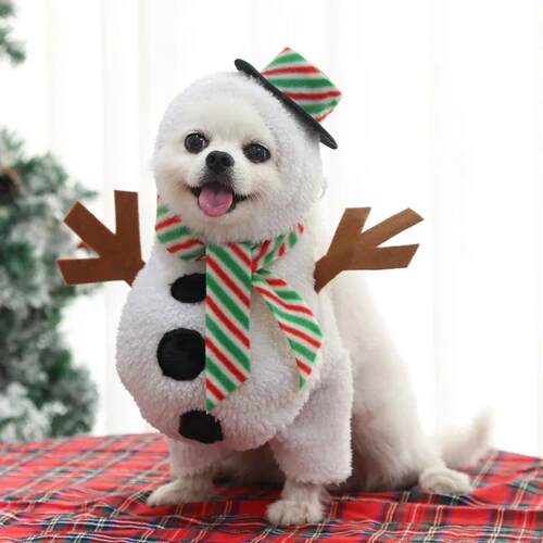 Christmas Pet Clothes Dog Fancy Dress Snowman Costumes Pet C