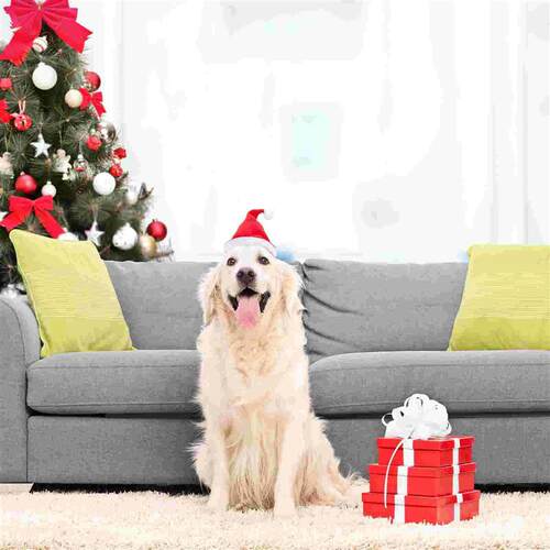1pc Christmas Pet Hat Kitten Puppy Santa Hat Dogs Cats Chris