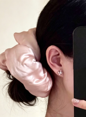 真丝发圈礼盒扎头巨好看大肠发圈女款送老师女士高级感轻奢风发绳