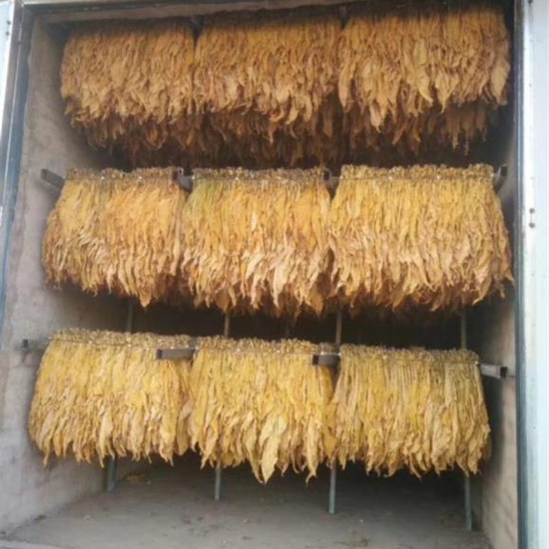 便锈钢梳式烟夹不易掉弹簧烤烟叶夹子不捷牢固烤烟房编Z烟机新式