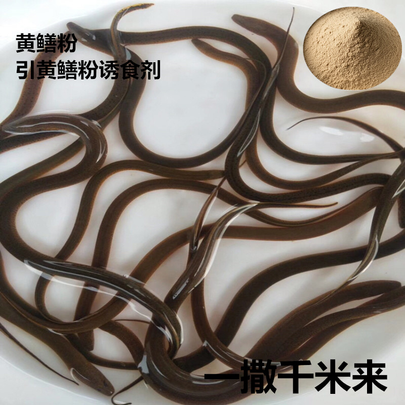 黄鳝粉引黄鳝诱食剂户外公具搭配添加剂饲料