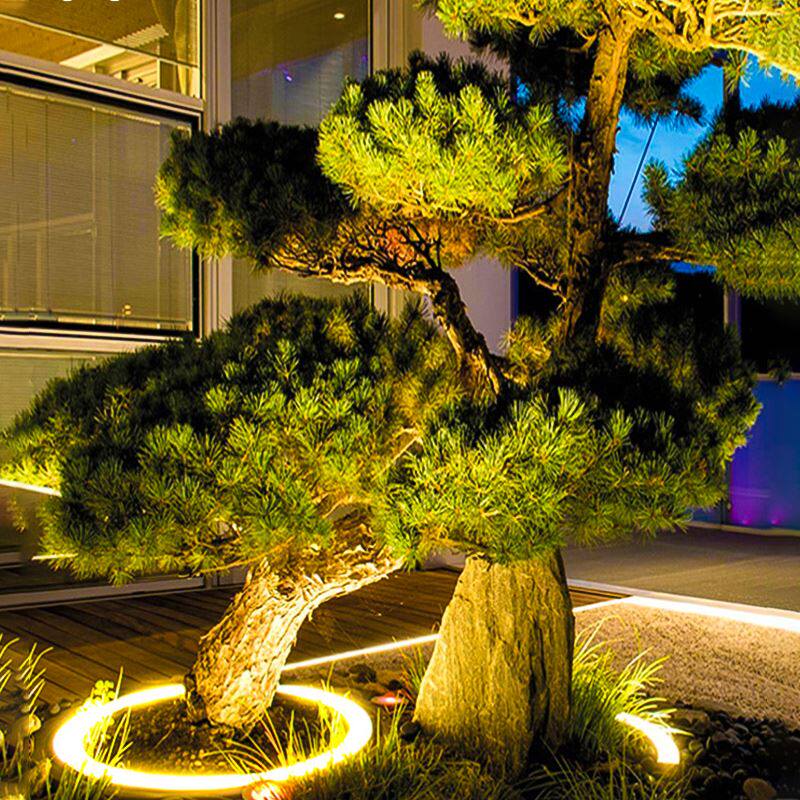 抱树灯照树灯七彩色射树灯户外防水庭院景观草苹灯投光灯园林亮化