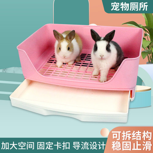 荷兰猪大号抽屉式厕所兔子豚鼠龙猫便盆屎盆防喷尿防掀翻固定