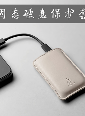 适用于西数passport移动硬盘SSD皮套闪固态E61E30E8182便携收纳包