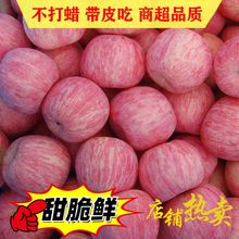 山东苹果烟台红富士脆甜吃的新鲜精品水果栖霞净果10斤包邮
