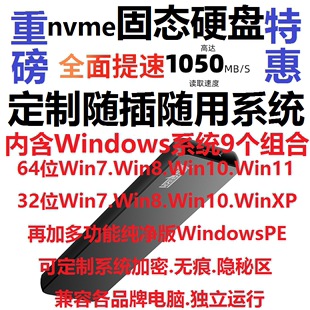 系统 XP即插即用WindowsToGo WTG 移动固态硬盘定制PE