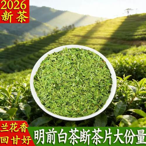 【大份量】明前高档白茶大碎片2026新茶高碎浓兰花香耐泡型茶片