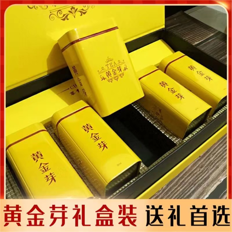 2025新茶正宗明前黄金芽浓香型高山绿茶豆香高档礼盒装送礼必选