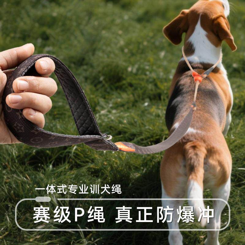 狗狗牵引绳防爆冲一体式P绳P链小中大型犬通用加粗狗绳遛狗绳狗链