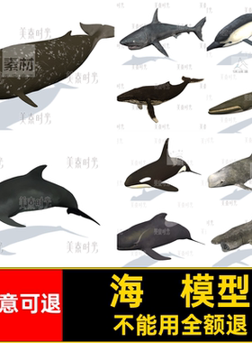 海洋动物模型鲸鱼动作立体简单鲨鱼海豚素材带大型C只素材简单