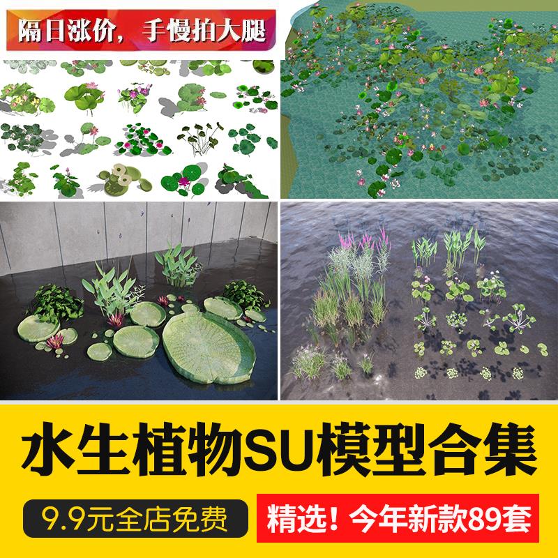 水生植物su模型鱼池生态湿地滨水公园池塘睡莲荷花荷草本草图大师