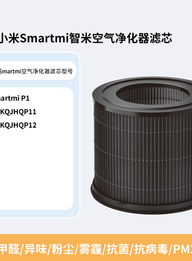 适配小米Smartmi智米P1空气清新机滤网净化器ZMKQJHQP11/P12滤芯