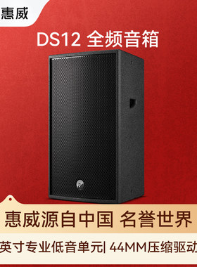 惠威（HiVi）新品DS12点歌机家庭ktv音响套装舞台酒吧家用12寸K歌