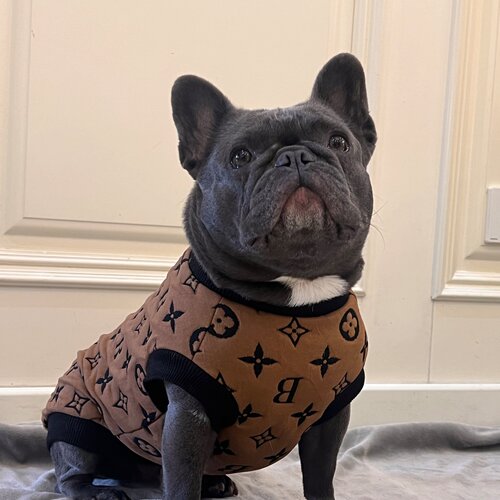 狗狗衣服大中小型犬背心马甲