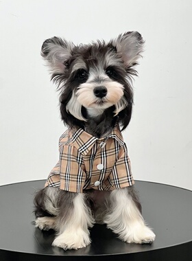 狗狗格子衬衫潮牌轻薄透气休闲可爱品牌高级春秋款新款泰迪比熊