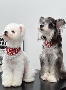 狗狗口水巾结婚生日吾家有喜大中小型犬猫咪通用新年春节红色