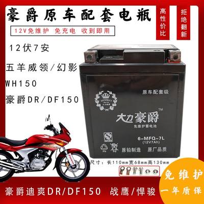 适用迪爽HJ150-9摩托车电瓶DF150 DR160S DR150S NK150蓄电池