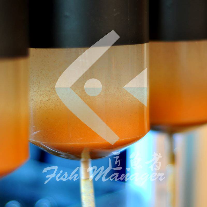 无水丰年虾大红卵卤虫可孵化非脱壳丰年虾大红卵可孵化卵19年新卵|ruв категории животное/Животное питание и принадлежностей, аквариум мира, декоративные рыбы кормов - от Buy2taobao.com для оказания профессиональной услуги покупки агента Taobao