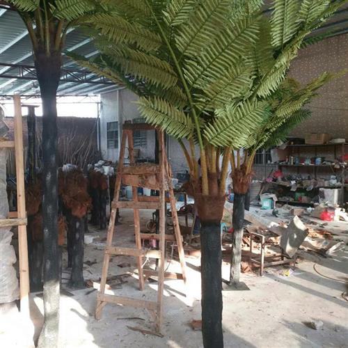 工厂定制仿真桫椤树恐龙馆绿化生态玻璃钢桫椤树造景工程娑罗树