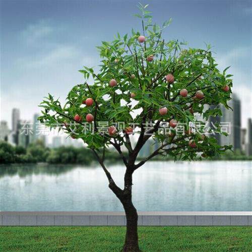 苹果树植物庭院园林商场布景果实盆景大型假树装饰绿植
