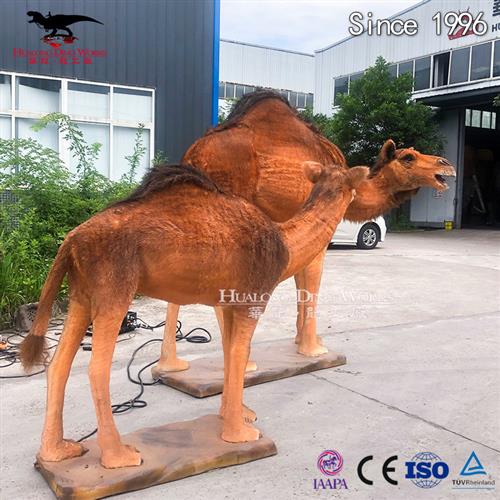 仿真机械电动模型粘毛骆驼可动蜥蜴模型自贡源头仿真恐龙厂家