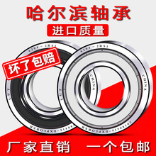 LUT哈尔滨进口轴承6200 6201 6202 6203 6204 6205 6206RS 6207ZZ